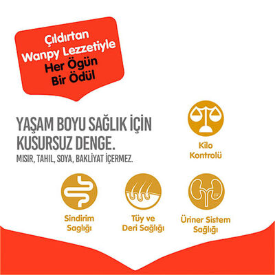 Wanpy With Oven Baked Bites Somonlu Tahılsız Yetişkin Kedi Maması 1,5 Kg 