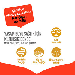 Wanpy With Oven Baked Bites Somonlu Tahılsız Yetişkin Kedi Maması 8 Kg - Thumbnail