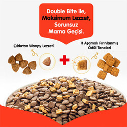 Wanpy With Oven Baked Bites Somonlu Tahılsız Yetişkin Köpek Maması 1,5 Kg - Thumbnail