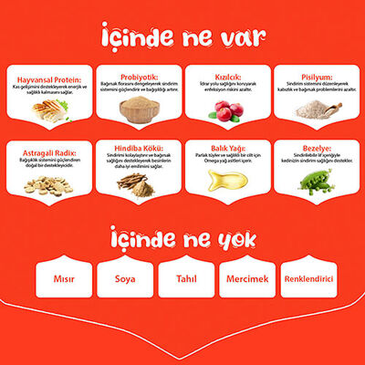 Wanpy With Oven Baked Bites Tavuklu Tahılsız Yavru Kedi Maması 1,5 Kg 