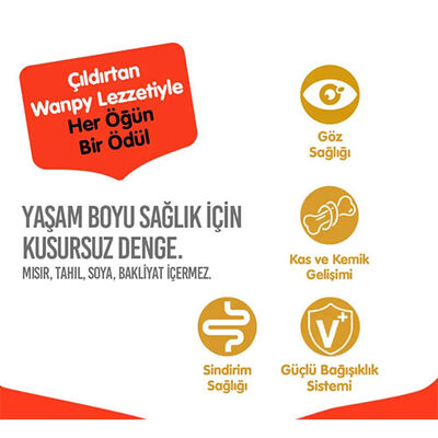 Wanpy With Oven Baked Bites Tavuklu Tahılsız Yavru Kedi Maması 8 Kg 