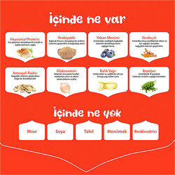 Wanpy With Oven Baked Bites Tavuklu Tahılsız Yavru Köpek Maması 1,5 Kg - Thumbnail