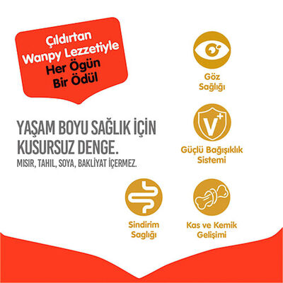 Wanpy With Oven Baked Bites Tavuklu Tahılsız Yetişkin Kedi Maması 1,5 Kg 