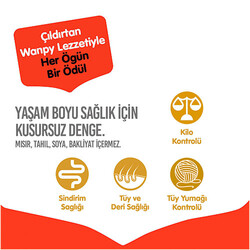 Wanpy With Oven Baked Bites Ton Balıklı Tahılsız Yetişkin Kedi Maması 1,5 Kg - Thumbnail