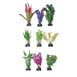 Zampa - Zampa Karışık Akvaryum Bitkisi 20 Cm 